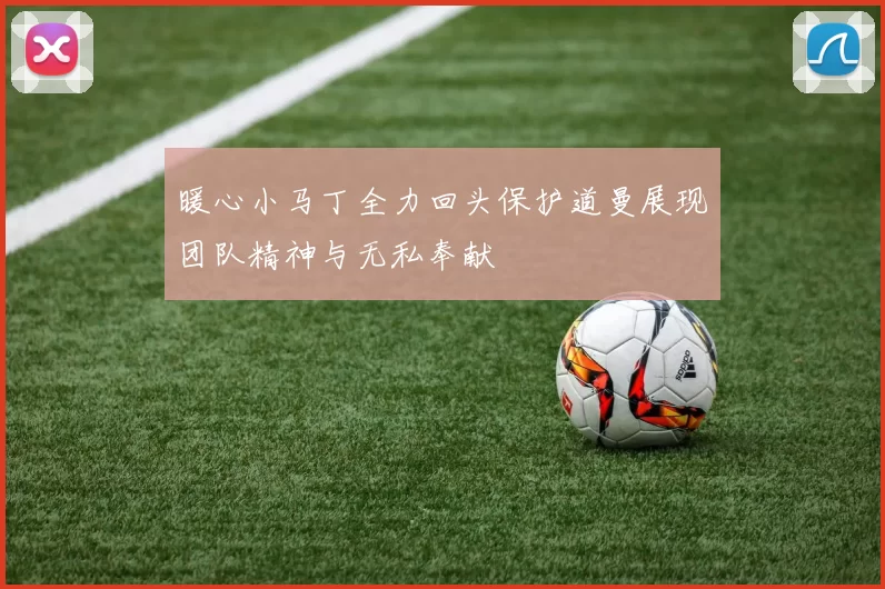 暖心小马丁全力回头保护道曼展现团队精神与无私奉献