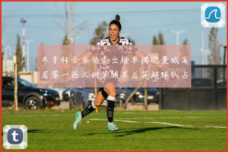 冬季转会市场支出榜单揭晓曼城高居第一西汉姆紧随其后英超球队占据五席
